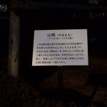 ☆神奈川大学迄お散歩☆